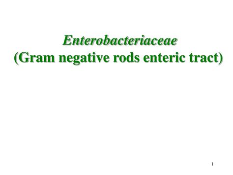 Enterobacteriaceae Gram Negative Rods Enteric Tract Online Presentation