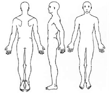 Blank Anatomical Position Diagram It Does Not Matter How The Body