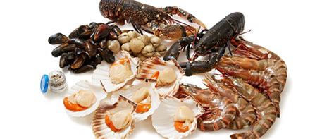 Therefore, purchasing and selling lobster, clam, oyster, etc. Is Lobster, Clam, Oyster and Octopus Halal? - Ijtihad Network