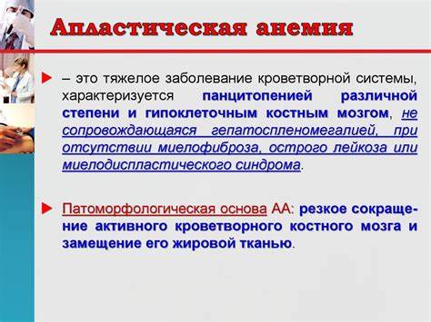 Анемия лечение диетой Анемия лечение диетой