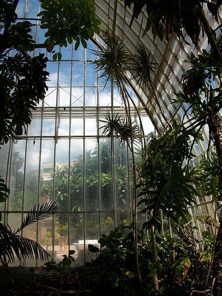 Tropical Greenhouse In The Botanical Garden Of València Tropical