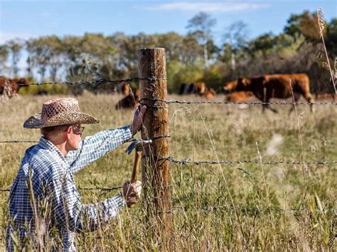 How To Build A Cattle Wire Fence Design Talk