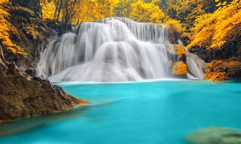 Nature Wallpaper Forest Trees River Waterfall Blue Water