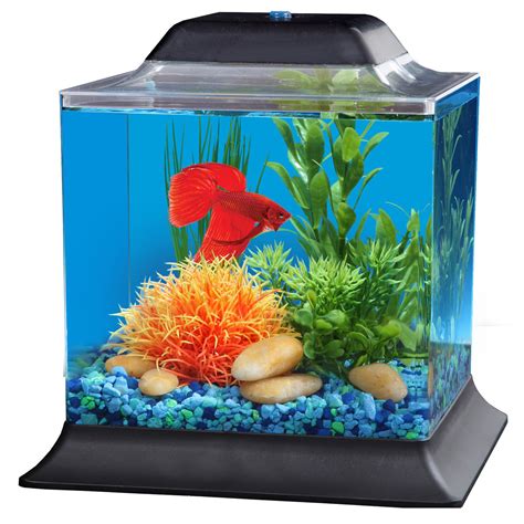 In a 1 gallon tank filled with water? Imagitarium 1.4 Gallon Betta Aquarium | Petco