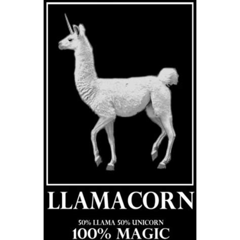 19 Funny Memes With Llamas Factory Memes