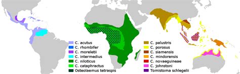 Distribution Of The 14 Different Species Of Crocodile 1172 × 368