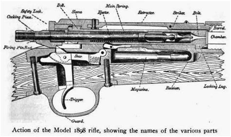 Firearms History Technology And Development Capsule Magazines