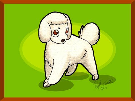 Toy Poodle Minipup By Anime Fan Addict On Deviantart