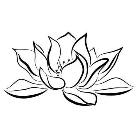 Water Lily By Alexandra Muresan Via Behance Tattoos Water Lily