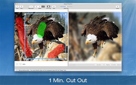 Gimp is a free photo editor that contains features for background removal. Remove Background from Image for Mac | Super PhotoCut for Mac