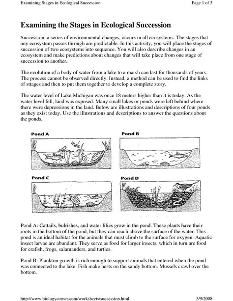 17 Best Images of Primary Vs Secondary Succession Worksheet Primary and Secondary Succession ...