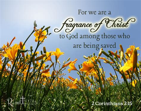 The Fragrance Of The Fathers Heart
