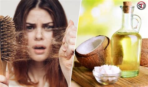5 best home remedies for hair loss how to stop hair loss naturally