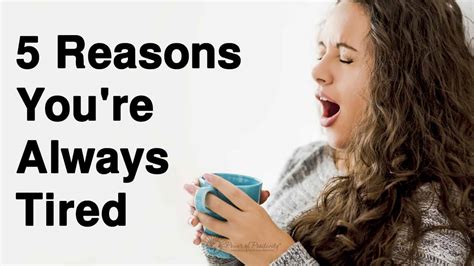 5 Reasons Youre Always Tired