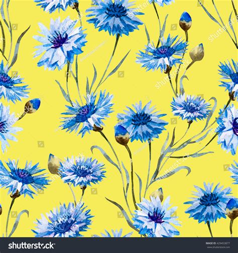 Watercolor Floral Pattern Blue Flower Cornflower Stock