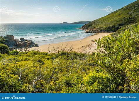 Whisky Bay Beach And Ocean In Wilsons Promontory National Park Stock