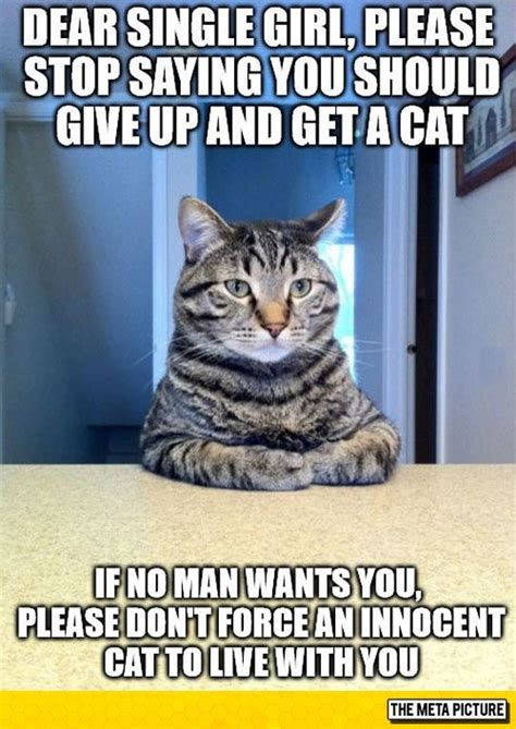 Please Take A Sit Girl Cat Quotes Funny Funny Cat Pictures Funny