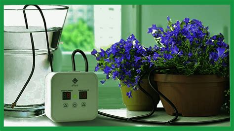 Top 5 Best Automatic Plant Watering System In 2020 Youtube