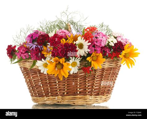Beautiful Bouquet Of Bright Wildflowers In Basket Isolated On White