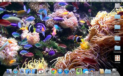 There are many art apps, and even drawing apps for free, available. Desktop Aquarium free on the Mac App Store (With images ...