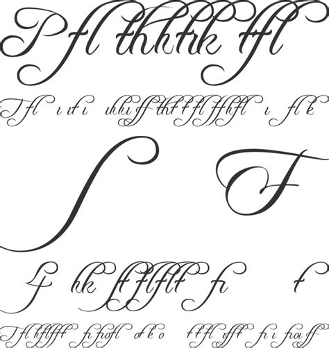 ✔️ this font has been downloaded 30,000+ times. Freebooter Script font family