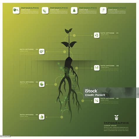 Ilustración De Árbol Y Raíz De La Infografía Diseño Plantilla Y Más