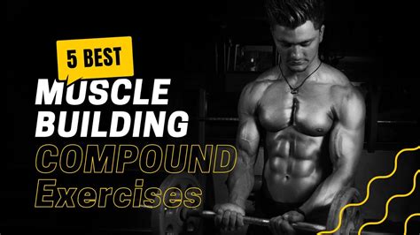 Best 5 Compound Exercises To Build Muscle Youtube