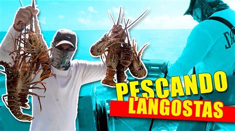 Pesca Profesional De Langosta Youtube
