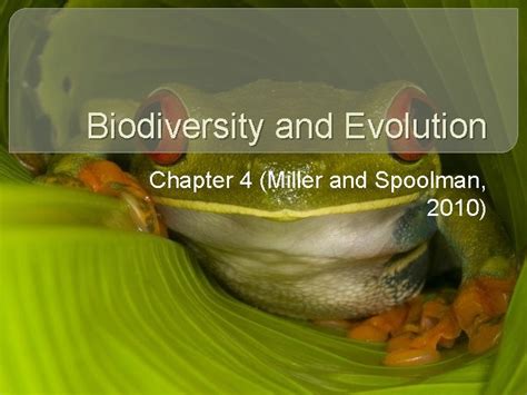 Biodiversity And Evolution Chapter 4 Miller And Spoolman