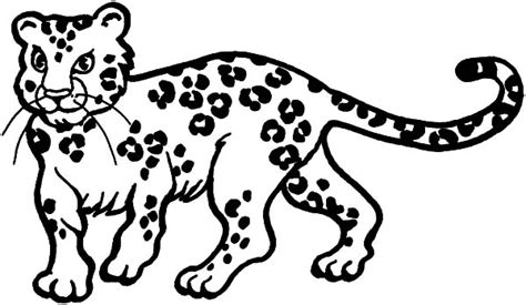 Baby Snow Leopard Coloring Coloring Pages