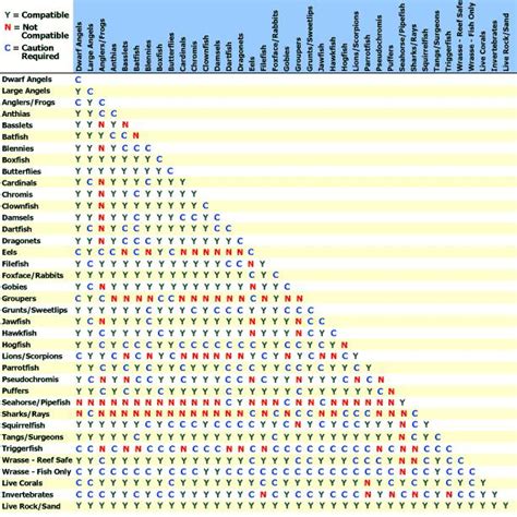 Iv Compatibility Chart Antibiotics Zoraya