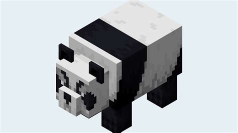 How To Tame A Panda In Minecraft 3 Simple Steps The Sportsrush