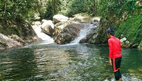 Eik tanjung malim (temporarily closed). Tempat Percutian Menarik di Chalet Sungai Bil Cool Spring ...