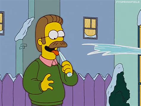 Ned Flanders Ned Flanders Photo 39674679 Fanpop