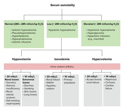 Hypovolemic Hyponatremia Algorithm