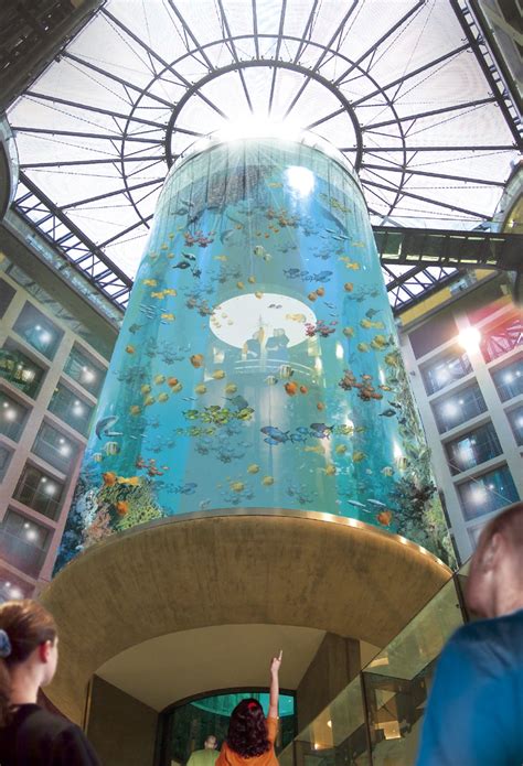 The AquaDom in Berlin, Germany - The most beautiful aquariums in the world