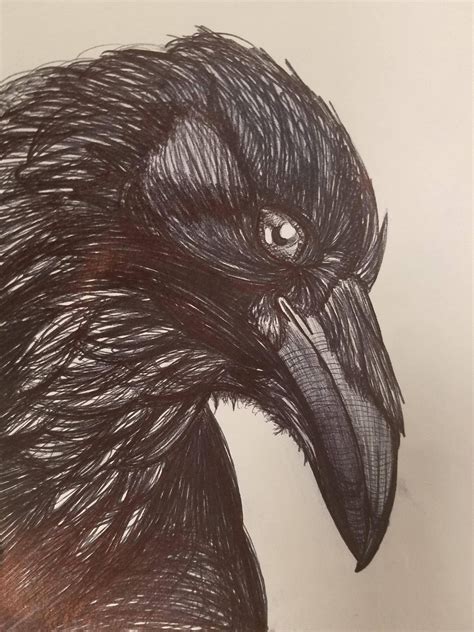 Raven Ink Art