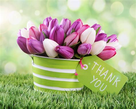 Thank You Images With Flowers Lettering Thank You Flowers Modern