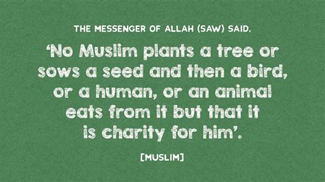 Animal Welfare In Islam All Your Questions Answered Muslim Hands Uk