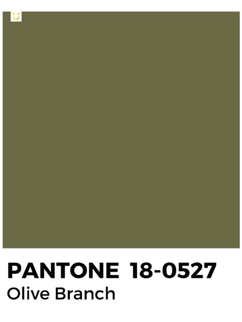 Pantone Olive Branch Pantone Pantone Green Shades Pantone Green