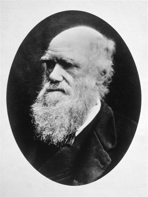 How Darwin Can Help Us With Cancer And Corona