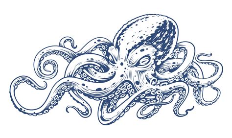 Octopus Clip Art Svg