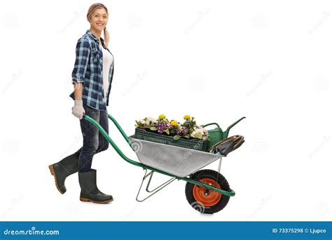 Woman Pushing A Wheelbarrow With Flowers Stock Photo Image Of Cart