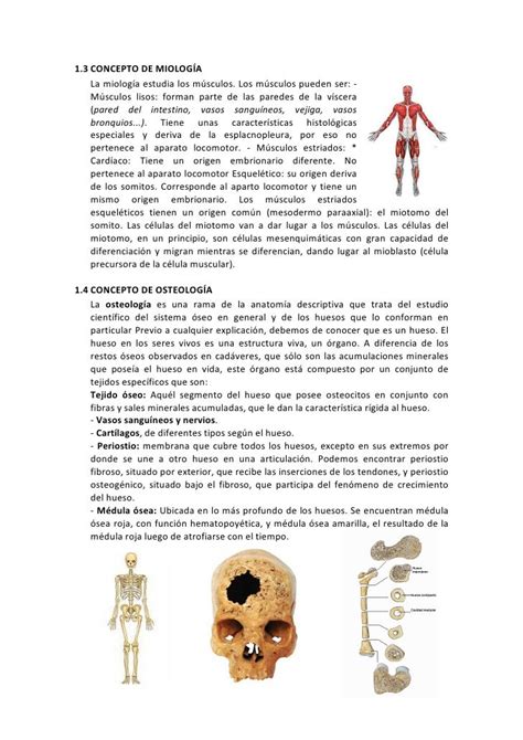 Pin De Meredith Fabianna En Anatomia Y Fisiologia Con
