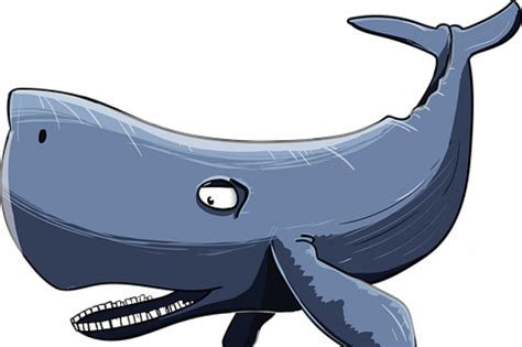 Download Koleksi 86 Gambar Ikan Paus Kartun Terbaik Gambar
