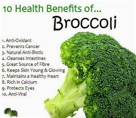 10 Health Benefits Of Broccoli Our Health Information