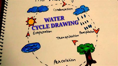 Water Cycle Drawing At Explore Collection Of Water