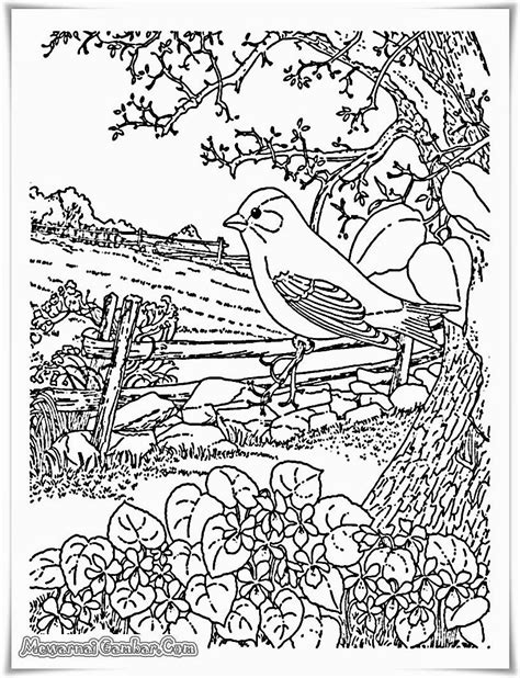 Gambar pemandangan gunung dan sawah hitam putih untuk diwarnai. Buku Gambar Mewarnai Cinderella - gambarmewarnai2019