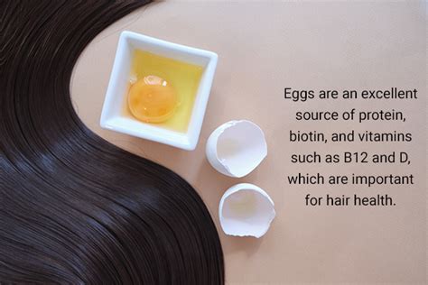 How To Wash Your Hair After Applying Eggs Emedihealth