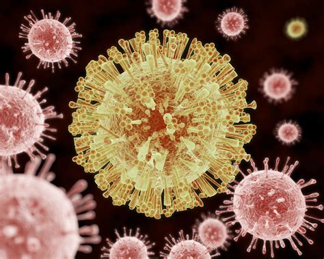 Zika Fever Description Cause Diagnosis And Outbreaks Britannica